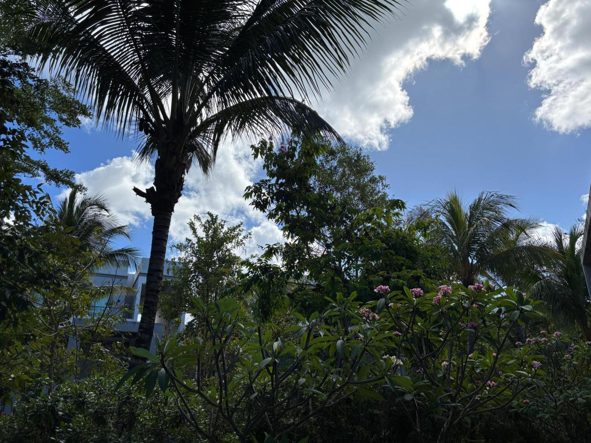 Mont Choisy Le Parc By Pam Golding Apartment Exterior foto